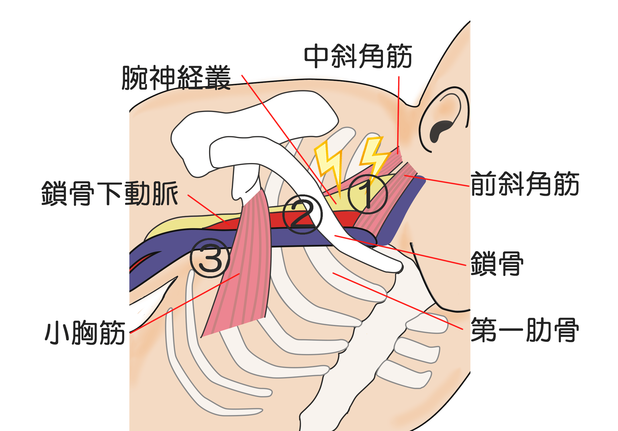 人差し指 しびれ 右手