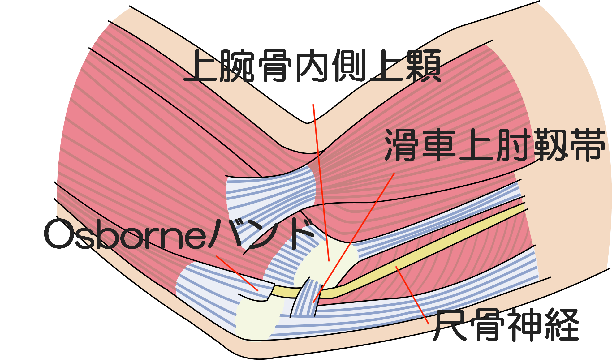 上腕 の しびれ