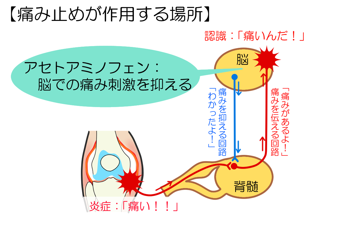 アセトアミノフェンの効果