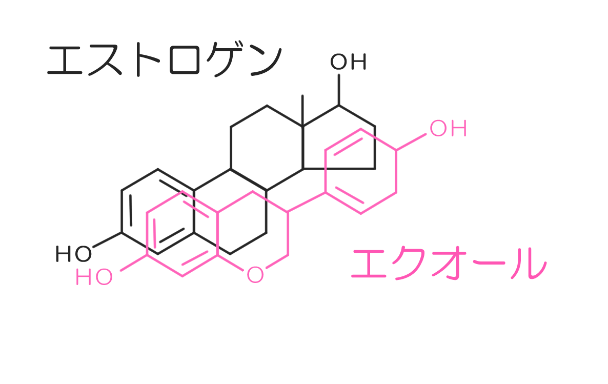 有効なサプリメント