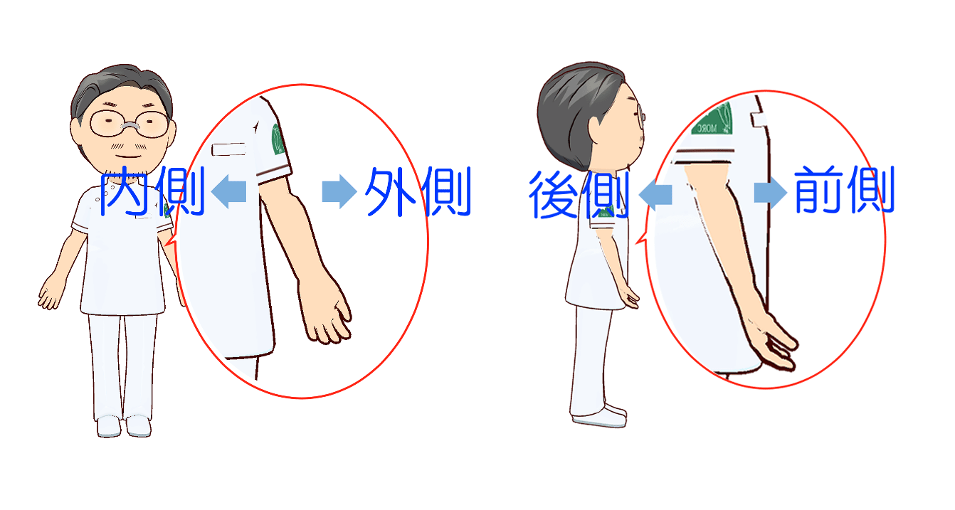 肘の痛みの原因と治療方法について 岐阜市の整形外科 森整形外科