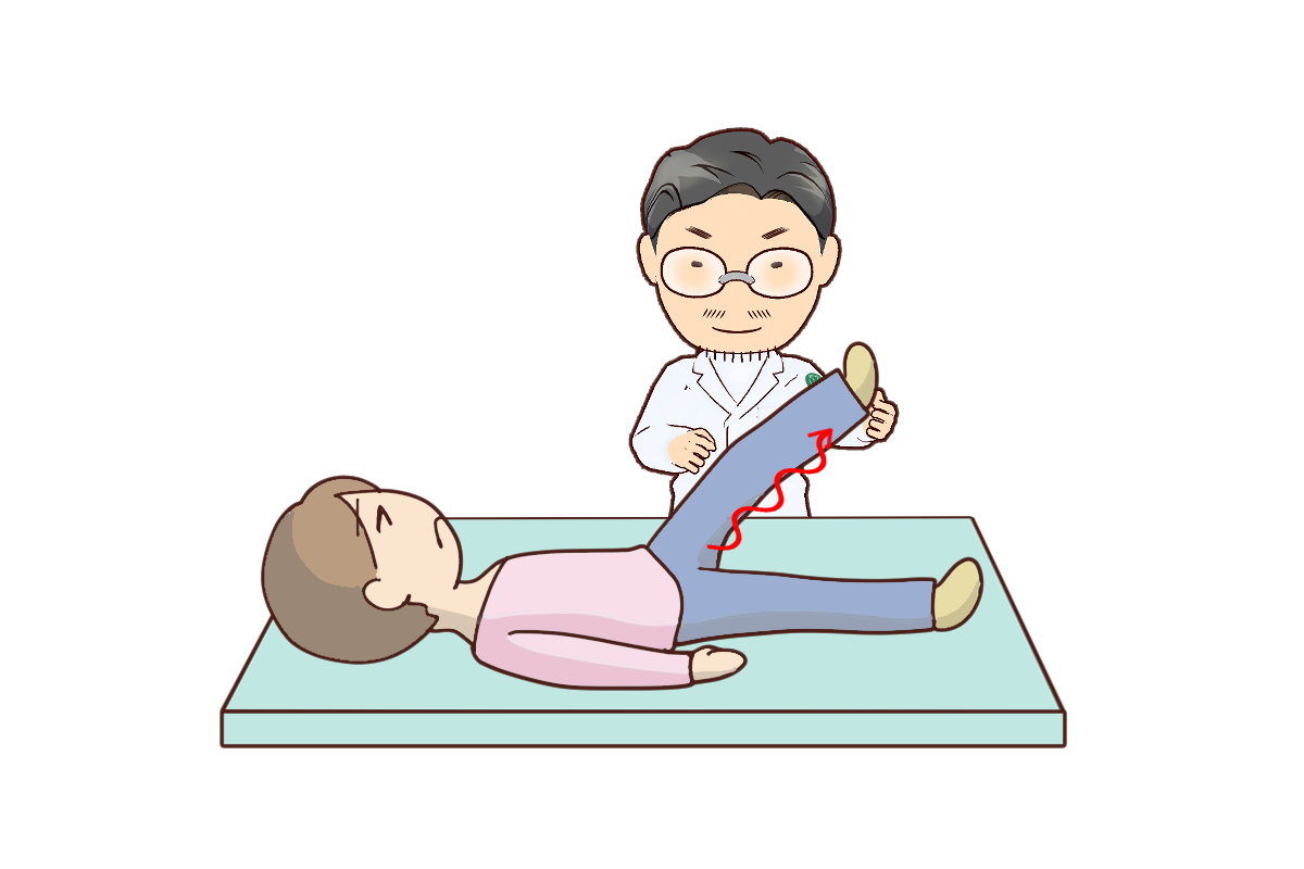 腰椎椎間板ヘルニアについて - 岐阜市 - 森整形外科リハビリクリニック