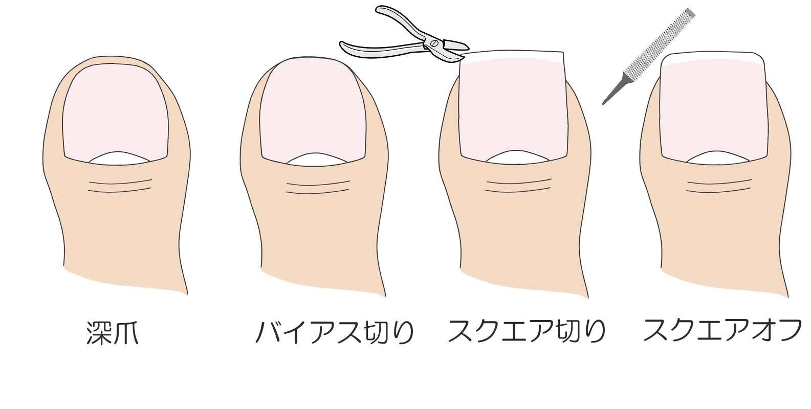 正しい爪の切り方